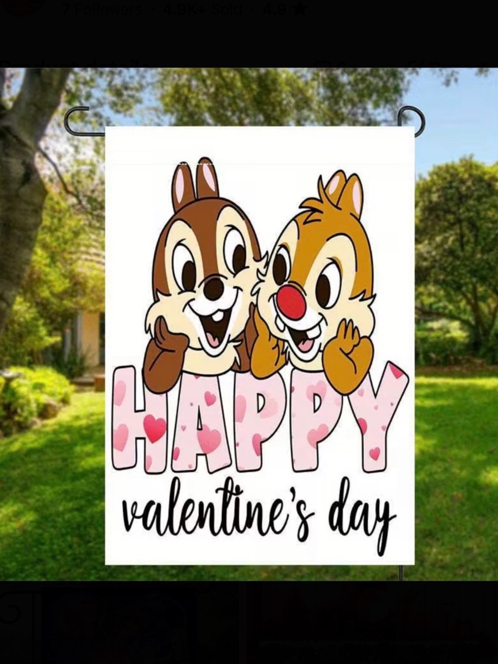 Valentine’s Chip & Dale Flag